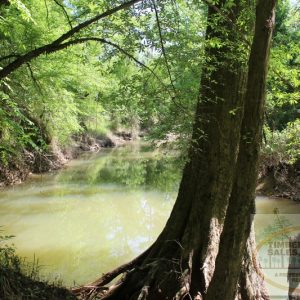 New Hebron, Mississippi