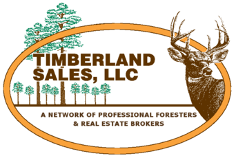 Forestry consulting and real estate firms – Brandon, Starkville, and Monticello |  Timberland Sales, LLC